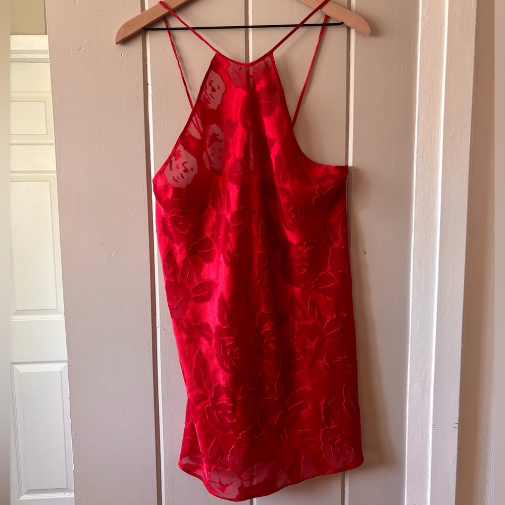 Vintage Red lace lingerie dress